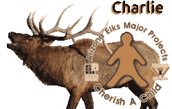 Charlie the wandering elk